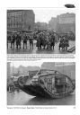 Beute-Tanks<br>British Tanks in German Service Vol. 2